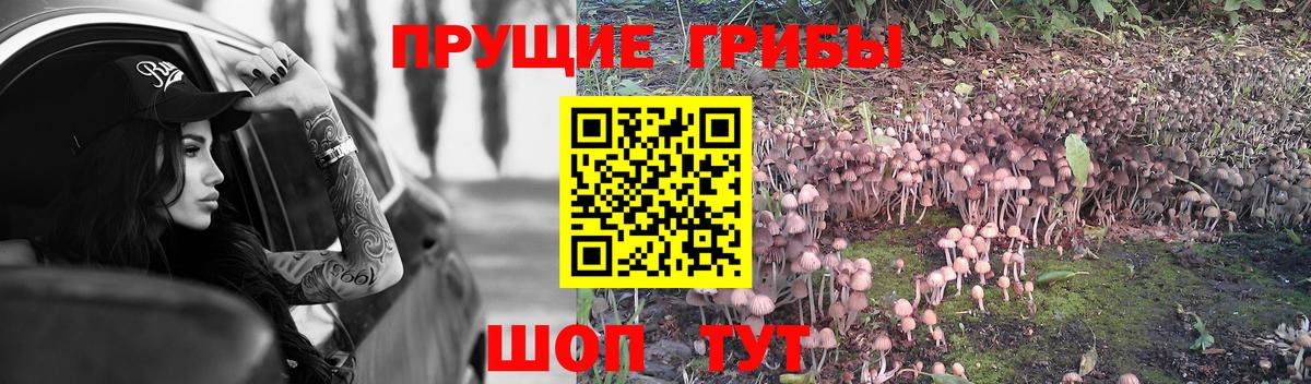 Псилоцибиновые грибы ЛСД Тосно