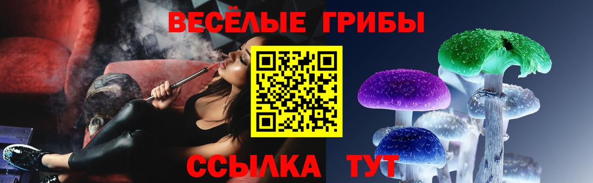 где купить   Вход с VPN  Тосно  Галлюциногенные грибы GOLDEN TEACHER  Псилоцибиновые грибы мухоморы 