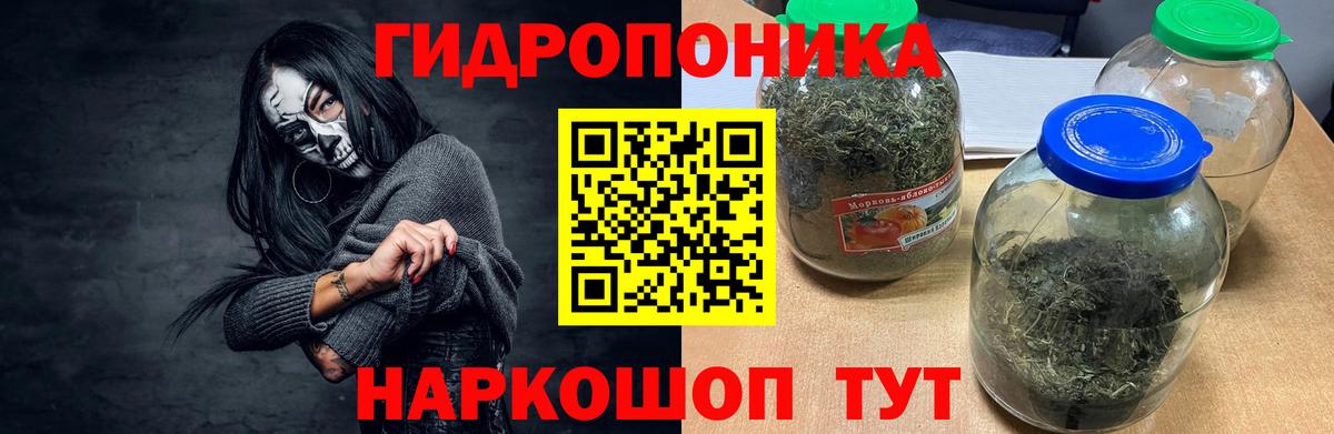 Бошки марихуана гибрид  Шишки марихуана THC 21%  Канабис THC 21%  Вход с VPN  Тосно  Конопля марихуана 
